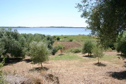 view to lake